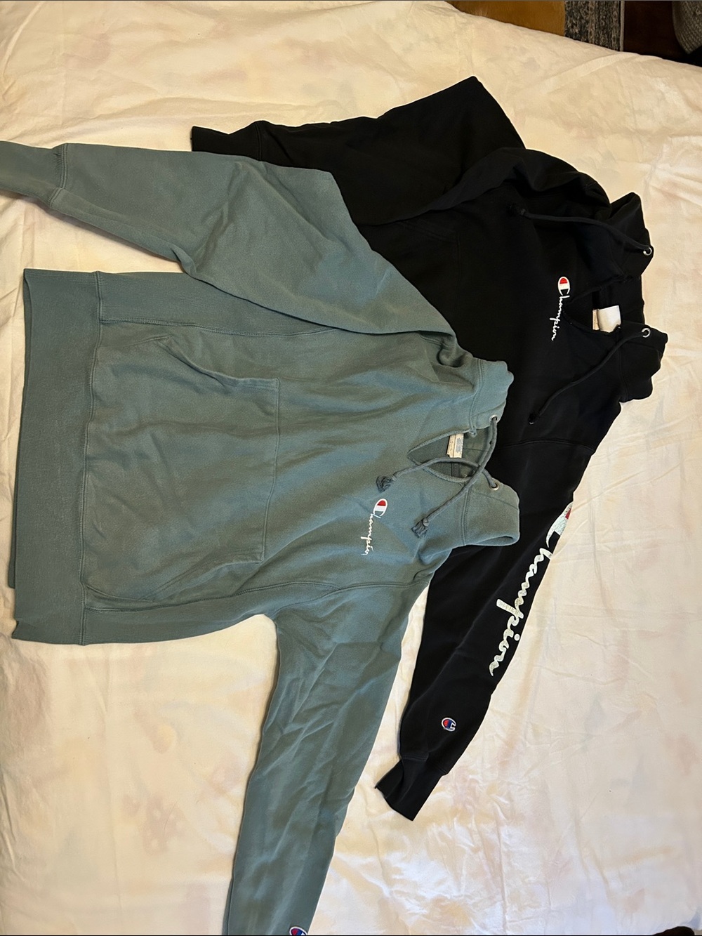 Champion Pullover Hoodies - Black & Sage